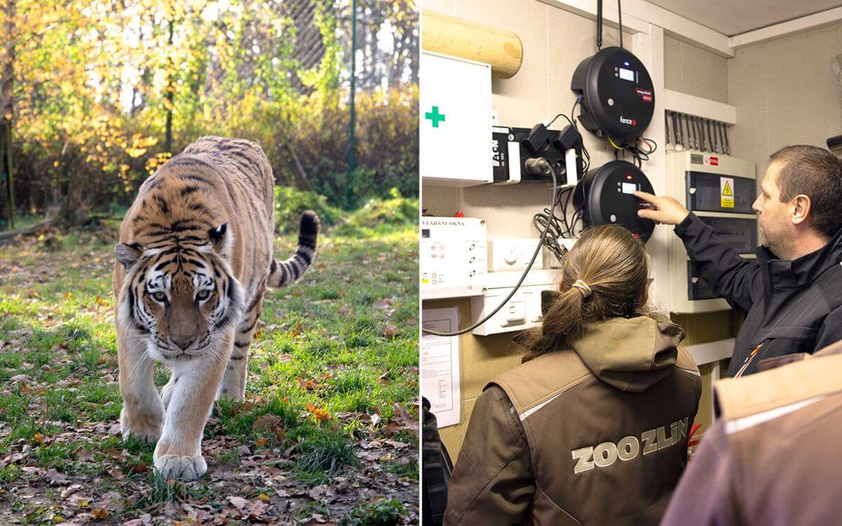 Chytrá Farma v Zoo Zlín I.: Instalace systému